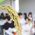 石川の発酵文化に欠かせないお米を学ぼう！【大学10期】