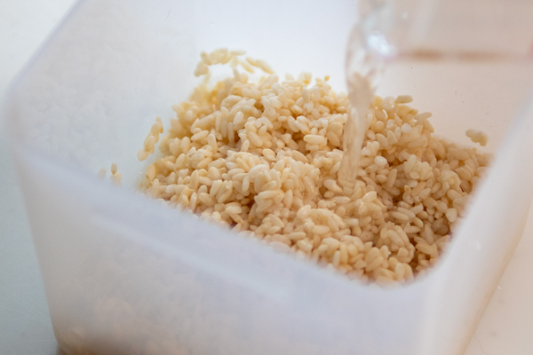 米麹に水を注いでいるところ